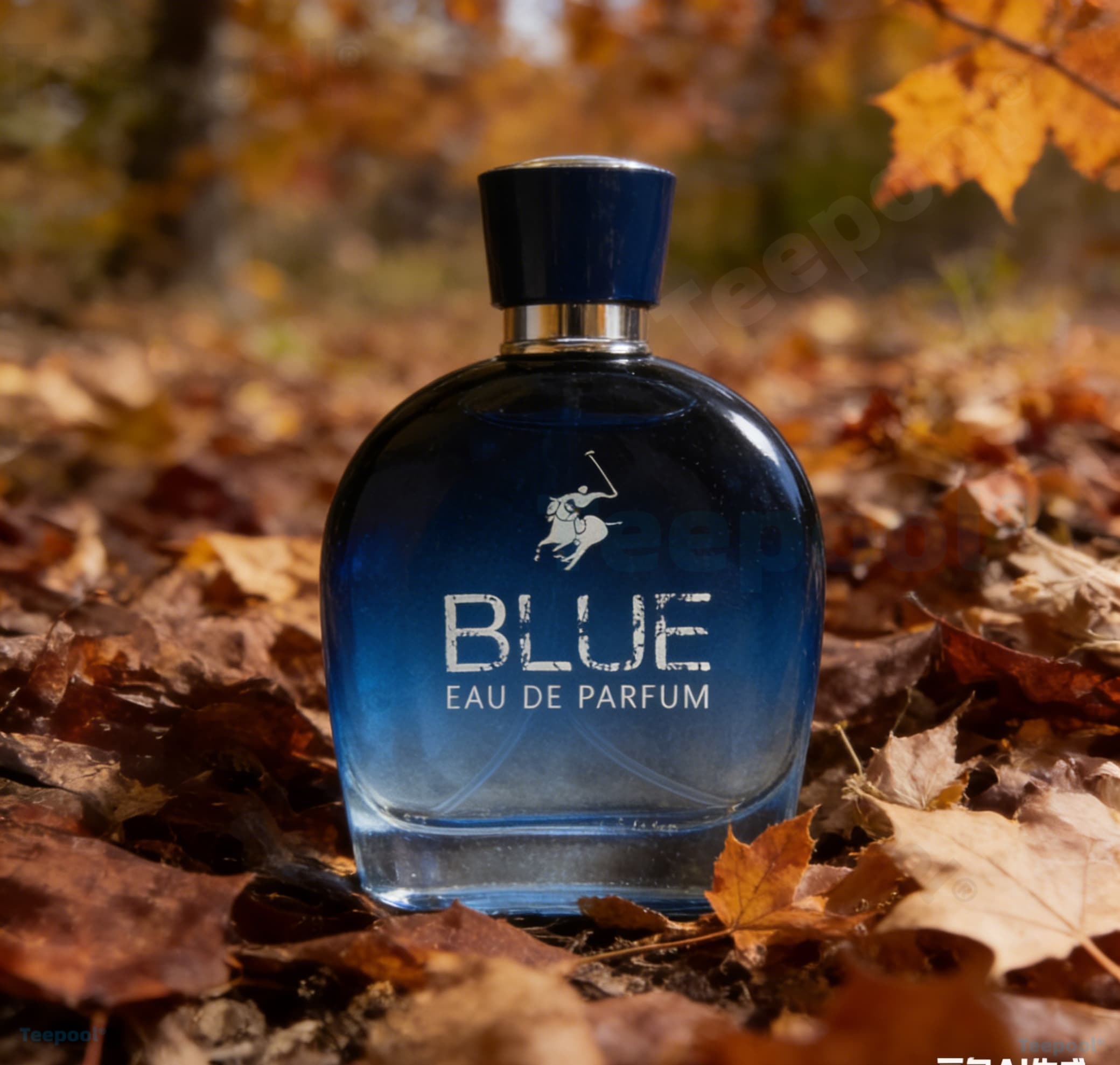 perfume/fragrance，Glamour Men  – Fragrance Cologne And Perfume Bewertung und Preis